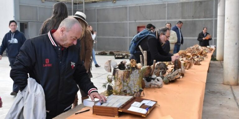 Boecillo, Tudela y Herrera de Duero se preparan para disfrutar de la micología